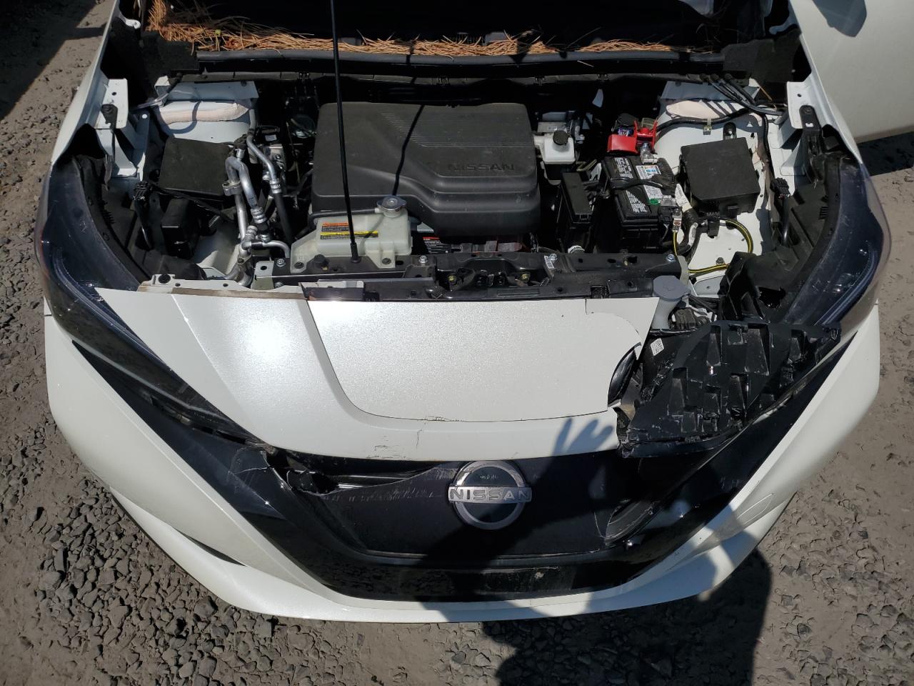 2024 Nissan Leaf Sv Plus VIN: 1N4CZ1CVXRC556849 Lot: 61469125