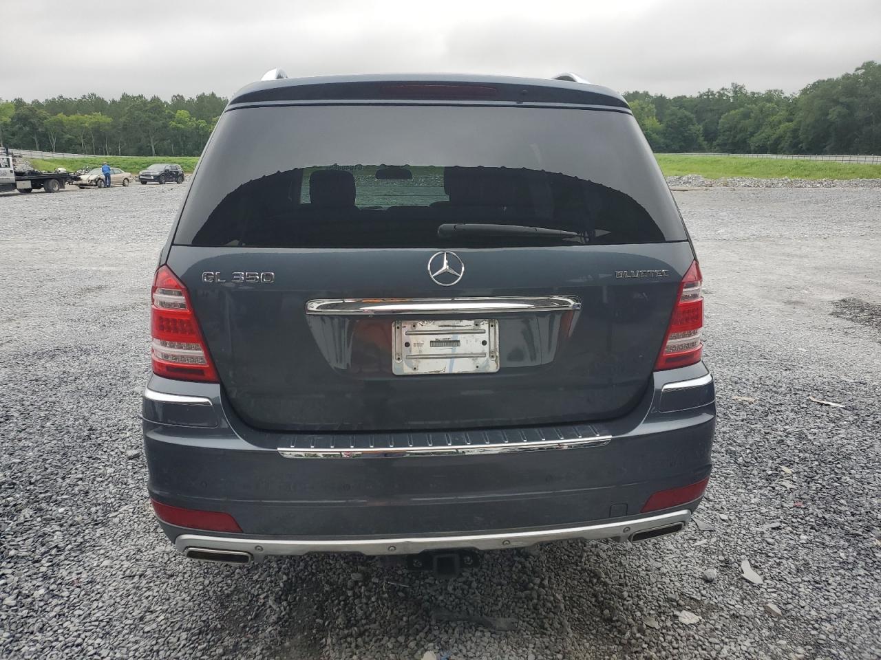 2010 Mercedes-Benz Gl 350 Bluetec VIN: 4JGBF2FE1AA582557 Lot: 61640665