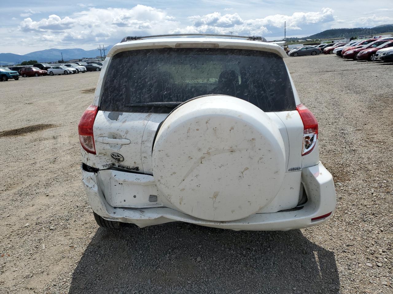 2007 Toyota Rav4 Limited VIN: JTMBD31V675098067 Lot: 59390825