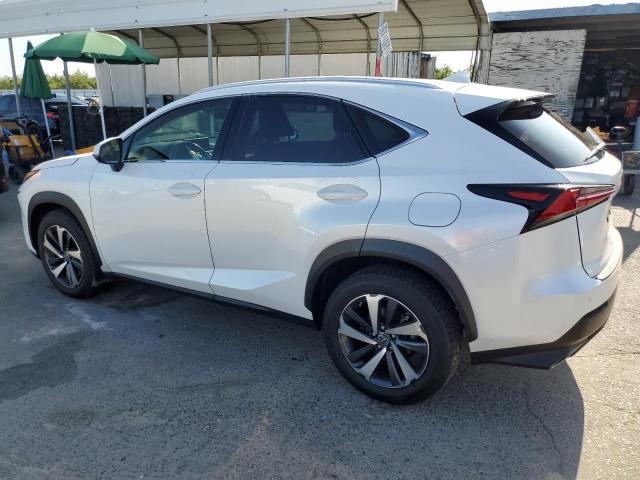  LEXUS NX 2019 Белы