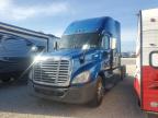 2018 Freightliner Cascadia 125 Truck იყიდება Arcadia-ში, FL - Minor Dent/Scratches