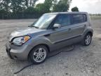 2011 Kia Soul +   de vânzare în Cicero, IN - Front End