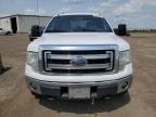 2013 Ford F150 Supercrew for Sale in Rocky View County, AB - Hail