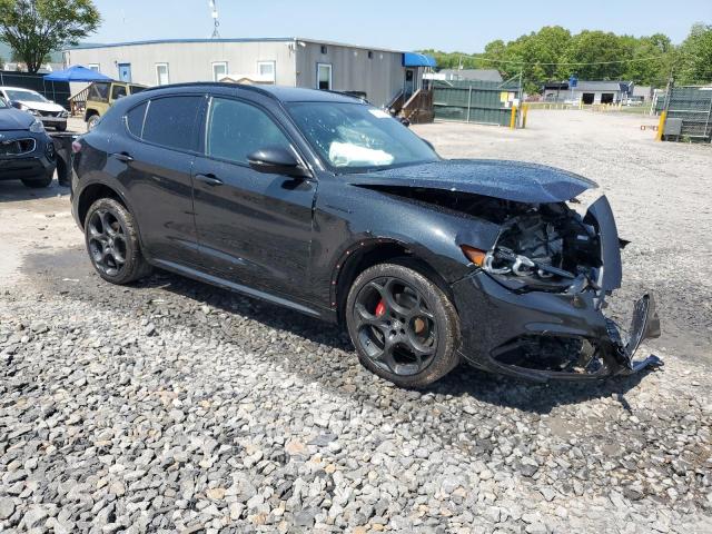  ALFA ROMEO STELVIO 2024 Czarny