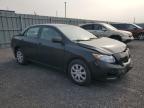 2010 TOYOTA COROLLA BASE   for sale at Copart ON - OTTAWA