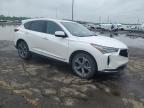 Woodhaven, MI에서 판매 중인 2023 Acura Rdx Advance - Rear End