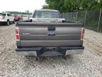 2010 Ford F150  for Sale in Cicero, IN - Rear End