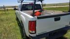 2008 GMC SIERRA C1500   à vendre chez Copart CO - COLORADO SPRINGS