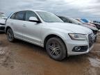 2013 Audi Q5 Premium Plus за продажба в Brighton, CO - Rear End