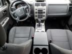 2012 Ford Escape Xlt for Sale in Littleton, CO - Front End