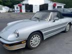 1987 ALFA ROMEO SPIDER QUADRIFOGLIO   for sale at Copart MA - SOUTH BOSTON