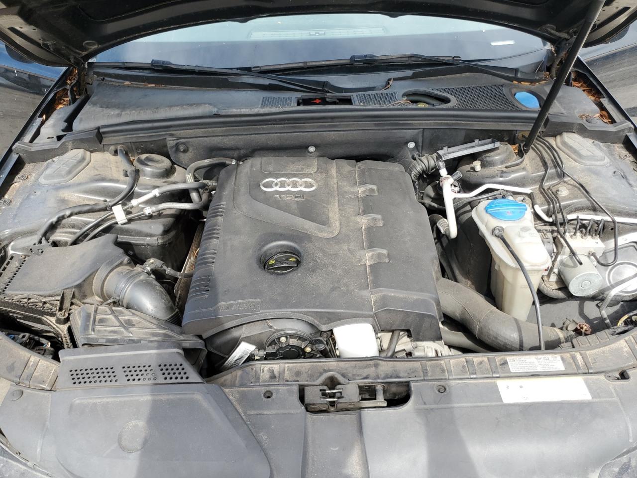 2014 Audi A4 Premium VIN: WAUAFAFLXEN028552 Lot: 62533255