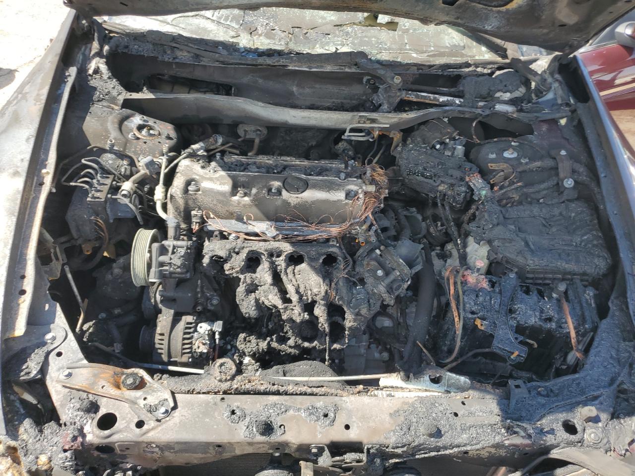 2010 Honda Accord Lxp VIN: 1HGCP2F40AA154686 Lot: 61969855