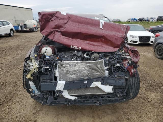  KIA SPORTAGE 2023 Burgundy