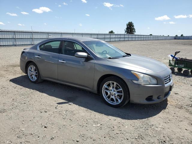 Sedans NISSAN MAXIMA 2014 Gray