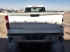 2024 Chevrolet Silverado C1500   на продаже в Phoenix, AZ - Front End