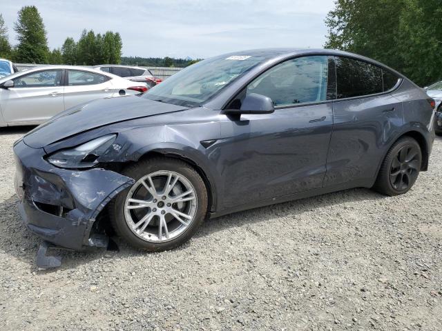  TESLA MODEL Y 2023 Gray