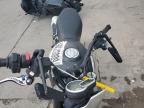 2023 Ducati Scrambler 1100 for Sale in Littleton, CO - Front End