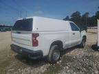 2023 Chevrolet Silverado C1500 na sprzedaż w Greenwell Springs, LA - Minor Dent/Scratches