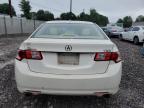 2009 Acura Tsx  за продажба в Chalfont, PA - Front End
