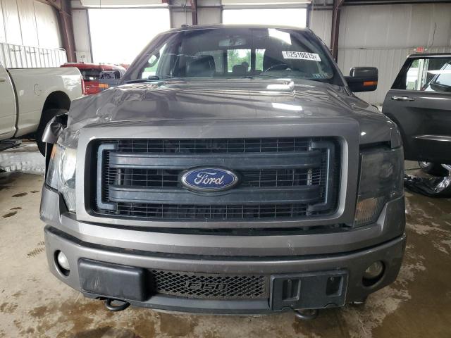  FORD F-150 2013 Серый