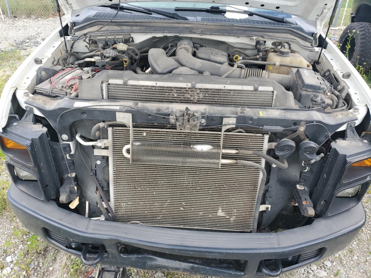 2009 Ford F350 Super Duty VIN: 1FTWF315X9EA11866 Lot: 62069795