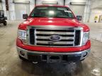 2009 Ford F150 Supercrew للبيع في Avon، MN - Side