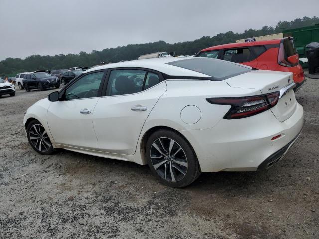  NISSAN MAXIMA 2023 Белый