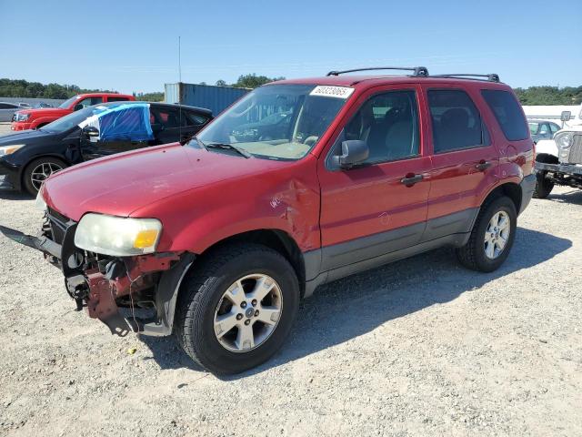 2006 Ford Escape Xlt