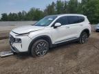 2023 HYUNDAI SANTA FE LIMITED   for sale at Copart ON - COOKSTOWN