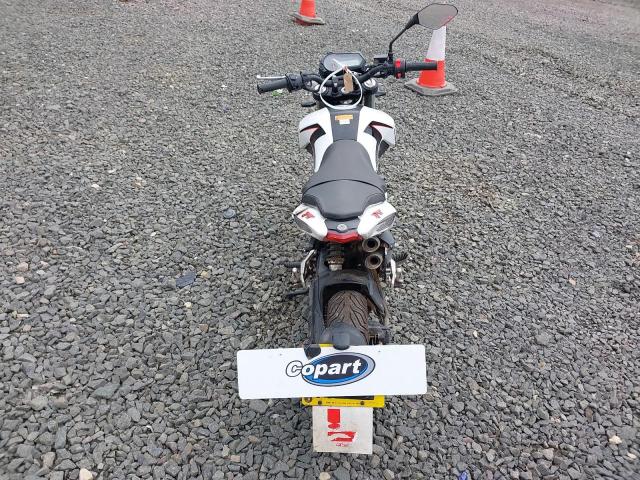 2025 BENELLI TORNADO NA
