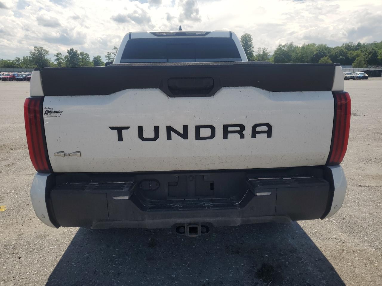 2022 Toyota Tundra Double Cab Sr VIN: 5TFLA5DA6NX005115 Lot: 61839565