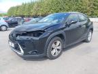 2020 LEXUS UX 250H 4X2 CVT  for sale at Copart WHITBURN