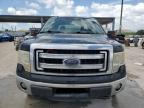 2013 Ford F150 Supercrew на продаже в West Palm Beach, FL - Rear End