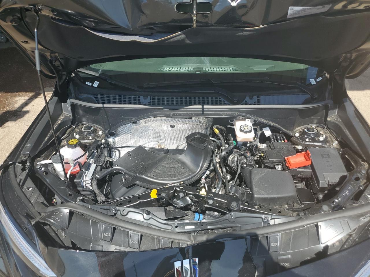 BUICK ENCORE 2025 VIN KL4AMCSL4SB214797 photo 12