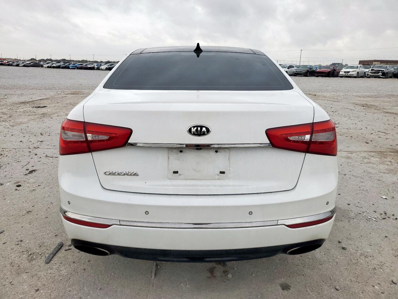 2014 Kia Cadenza Premium VIN: KNALN4D74E5120971 Lot: 59488425
