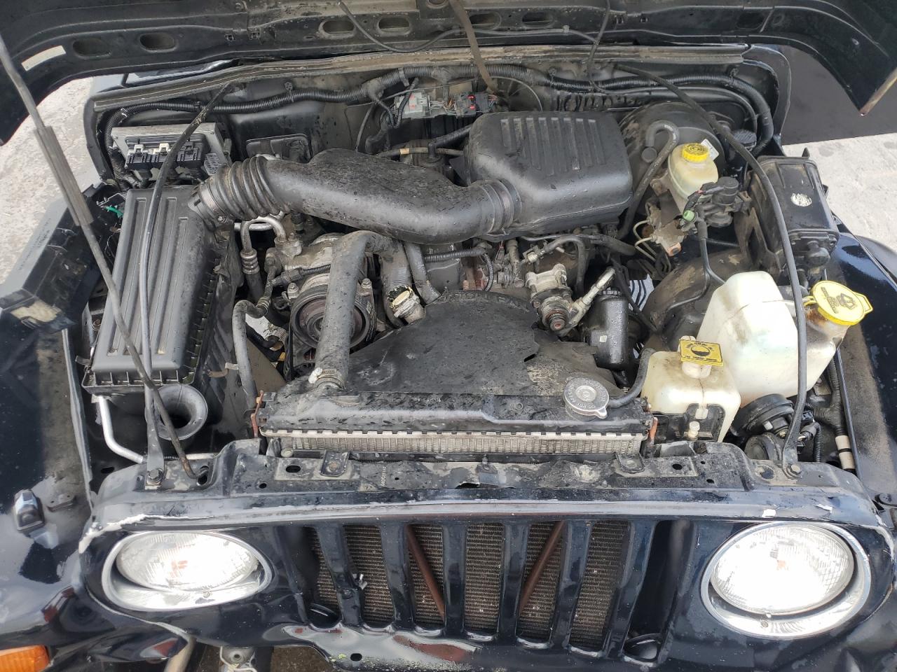 1999 Jeep Wrangler / Tj Se VIN: 1J4FY29P1XP428346 Lot: 62600455