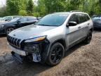 2017 JEEP CHEROKEE SPORT   for sale at Copart ON - COOKSTOWN