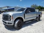 Opa Locka, FL에서 판매 중인 2023 Ford F250 Super Duty - Side