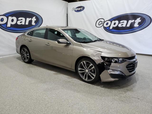  CHEVROLET MALIBU 2023 tan