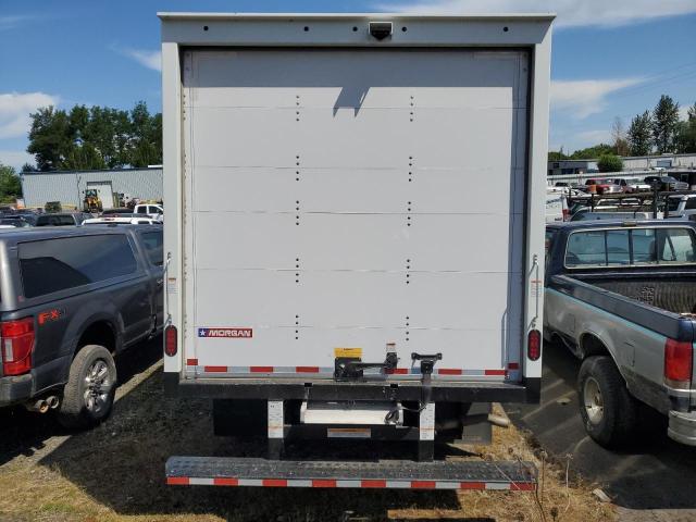  CHEVROLET EXPRESS 2024 White
