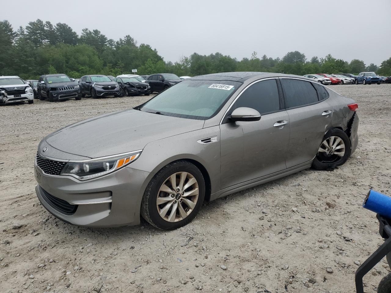 2016 Kia Optima Ex за продажба в Mendon, MA - Rear End
