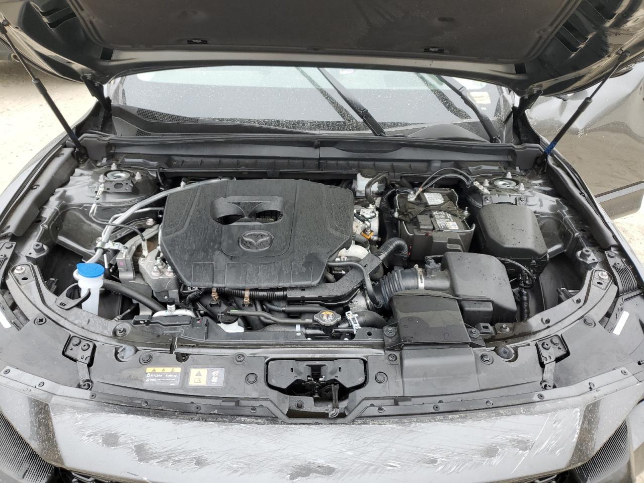 2025 Mazda Cx-50 Premium Plus VIN: 7MMVABEM8SN333689 Lot: 62213465