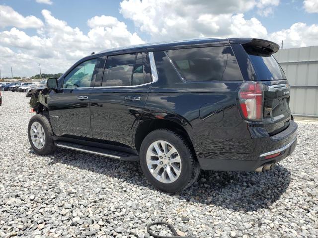 CHEVROLET TAHOE 2024 Black