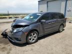 2019 Honda Odyssey Exl იყიდება Albuquerque-ში, NM - Front End