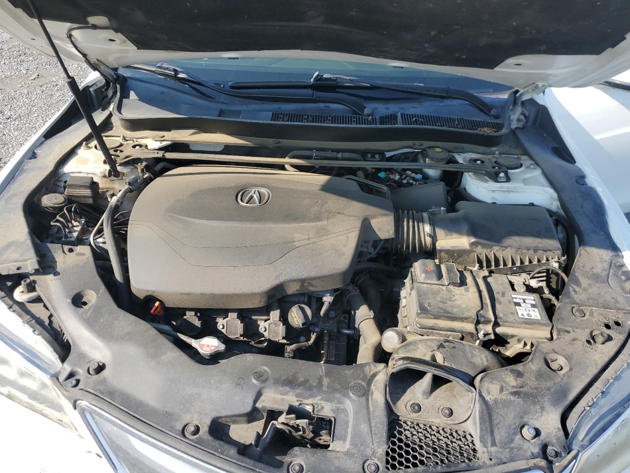2015 Acura Tlx VIN: 19UUB2F30FA017605 Lot: 62522875