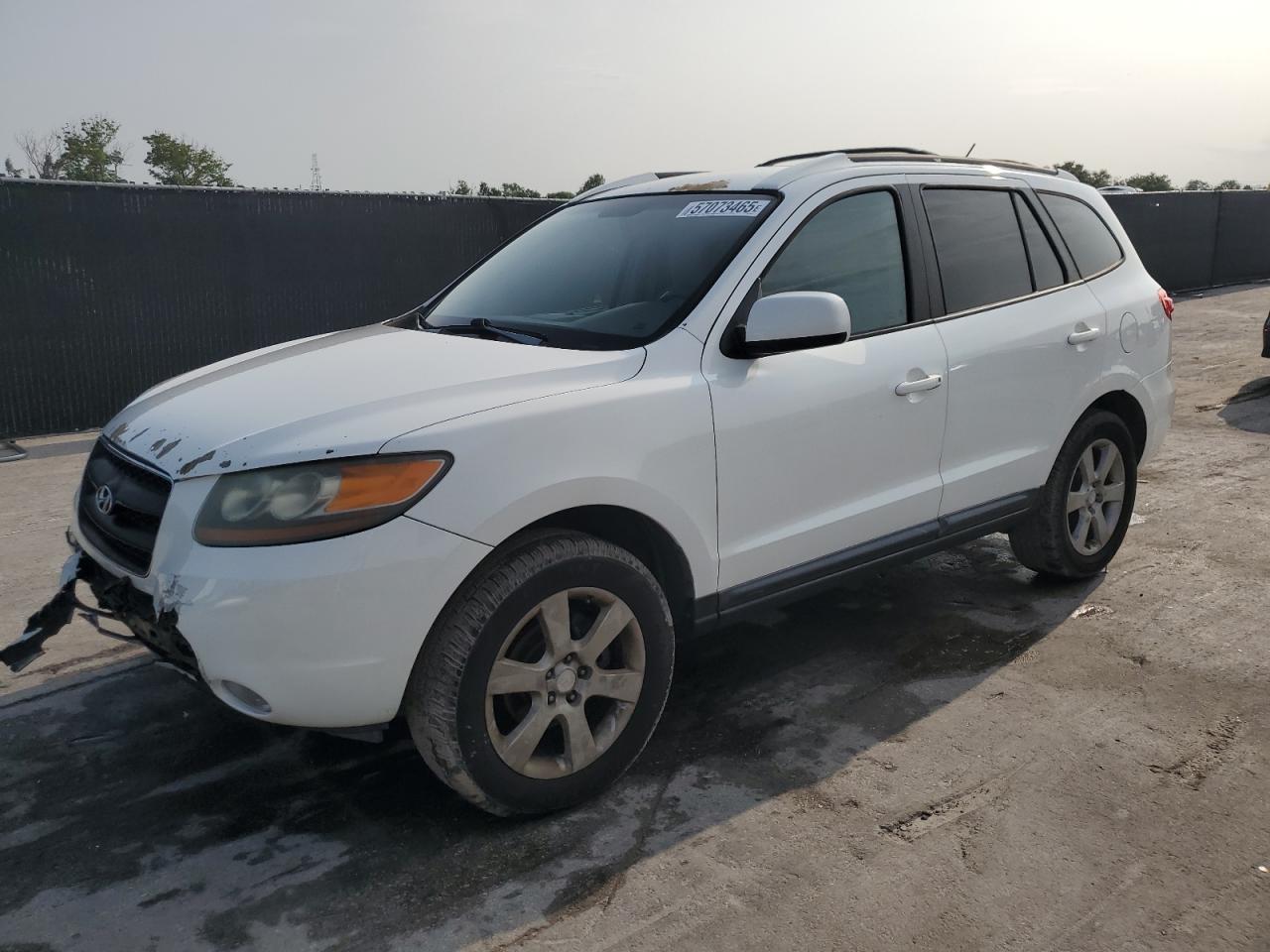 2007 Hyundai Santa Fe Se zu verkaufen in Orlando, FL - Front End