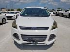 2015 Ford Escape Se იყიდება Haslet-ში, TX - Hail