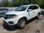 2013 KIA SORENTO LX   à vendre chez Copart ON - COOKSTOWN