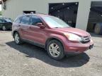 2010 Honda Cr-V Exl   продається в Center Rutland, VT - Front End